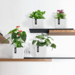 White Square Pot Pack Of 4