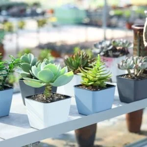 Home & Gardening