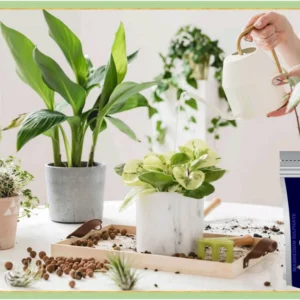 Gardening