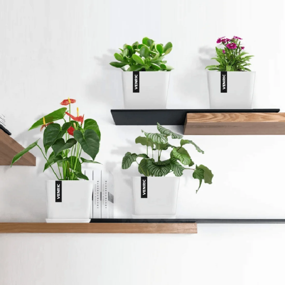 Home White Square Pot Pack Of 4